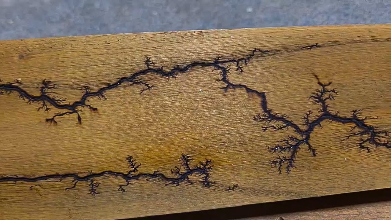 Fractal Wood Burning Tutorial with Different wood