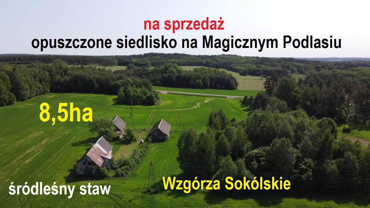 na sprzedaż opuszczone siedlisko (8,5ha) na Podlasiu z lasem i śródleśnym stawem - Wzgórza Sokólskie