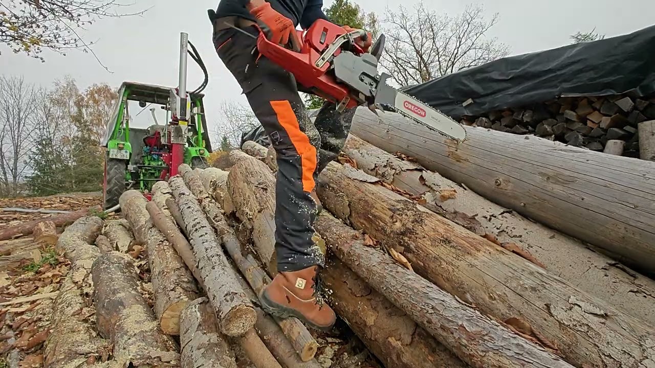 Polter mit der Husqvarna 550XP aufarbeiten 