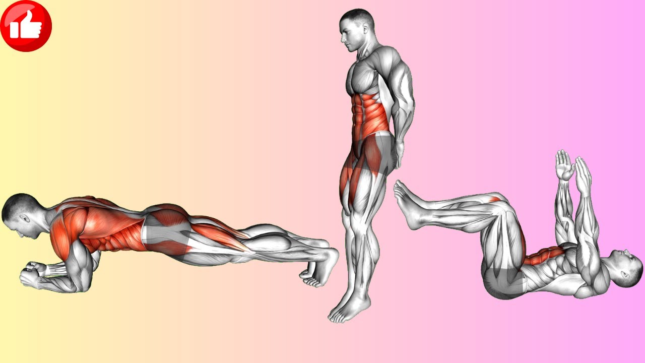 Get 6 Pack Abs at Home: Intense Lower Ab Routine