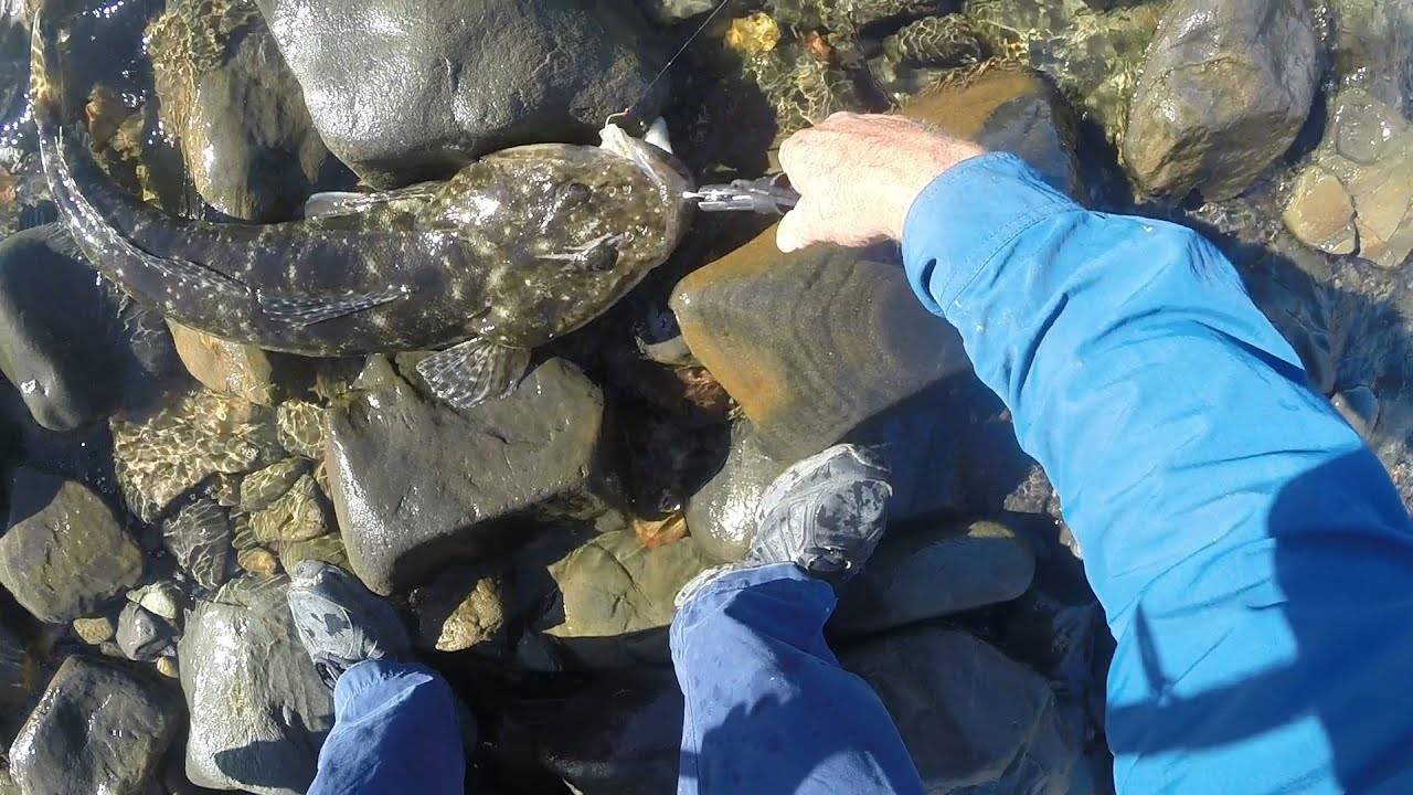 Kangaroo Island Easter 2024 Part 2 - Shore based fishing and a MONSTER flathead! #kangarooisland