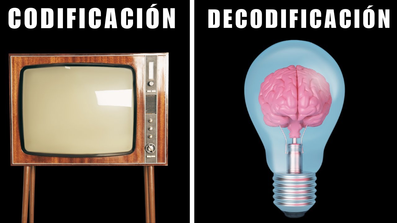 Stuart Hall - Codificación y decodificación en el discurso televisivo 📺