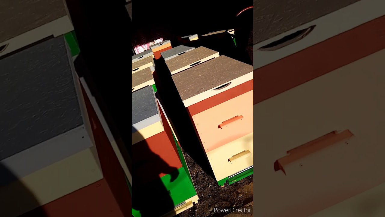 Эксперимент в покраске ульев резиновой краской / Константин Пасека на Хуторе