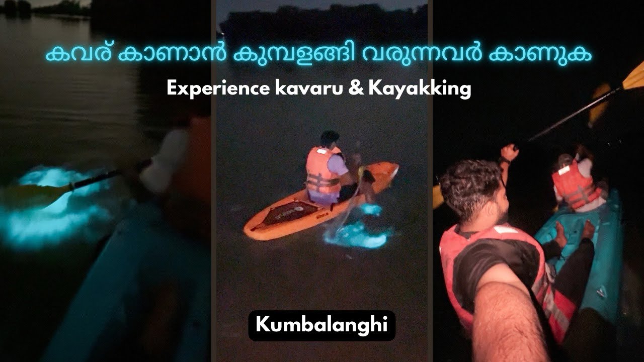 കവര് കാണാൻ കുമ്പളങ്ങി വരുന്നവർ കാണുക!! | Kavaru with Kayakking | Kumbalanghi | Experience