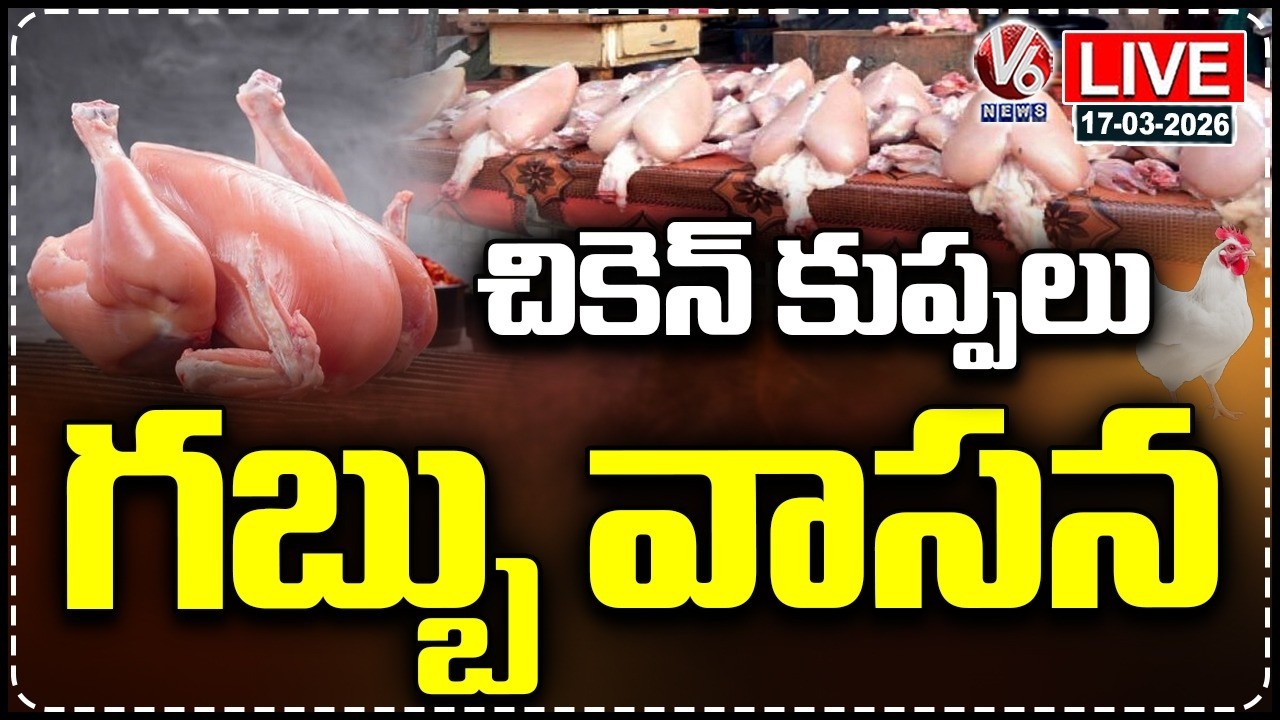 LIVE : 800 Kgs Of Stored Chicken Seized From Shop | Hyderabad | V6 News