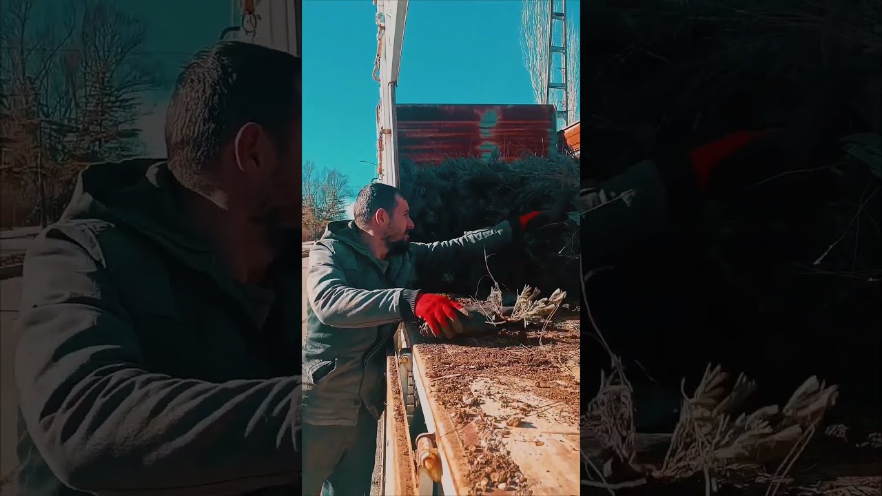 Orta Ref&uuml;jler Lavanta Bah&ccedil;esi Oluyor
