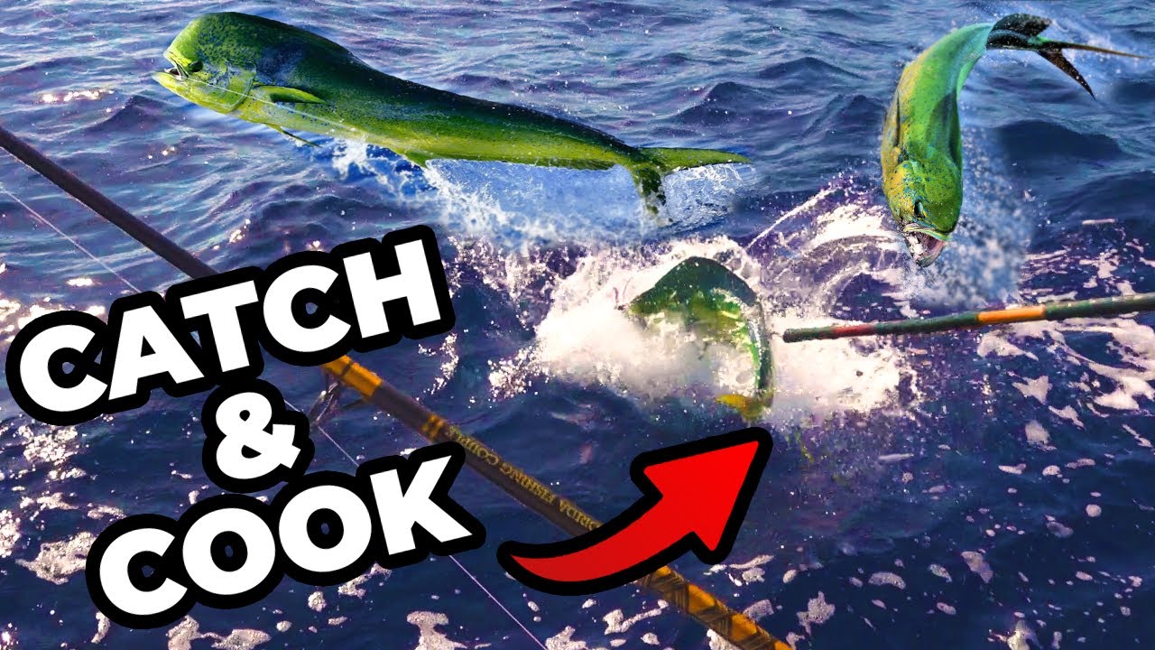 Pesca de mahi mahi en Florida {Atrapar y cocinar}