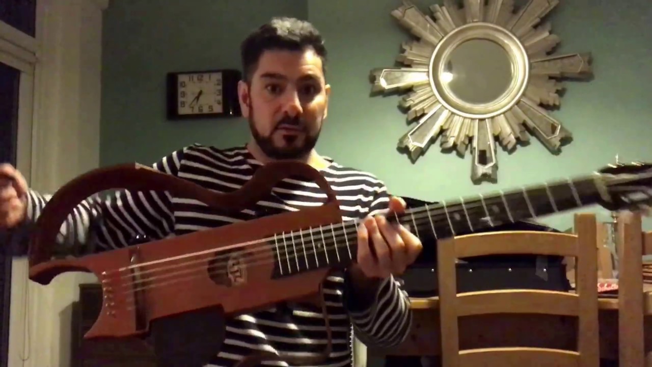 AJL La Flasque Selmer style travel guitar.
