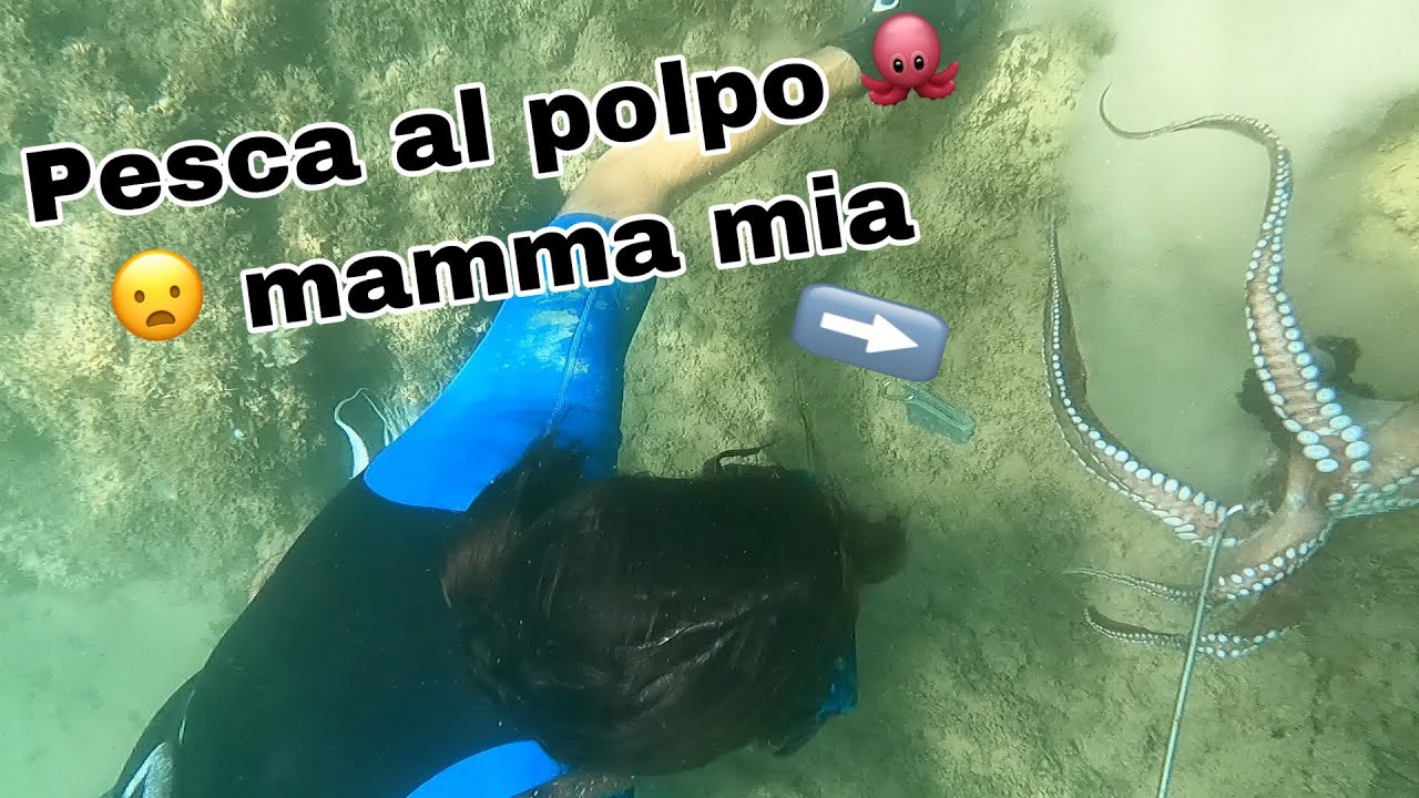 Come pescare i POLPI (Tutorial) Pesca in apnea. Tante catture e tanto divertimento! Basso fondo 2021
