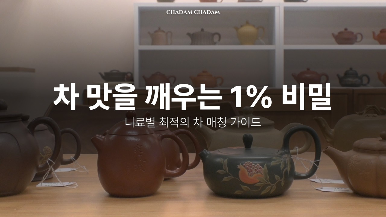 자사호 니료별 추천 차 종류 총정리 🍵 | 주니 자니 단니 녹니 매칭 가이드