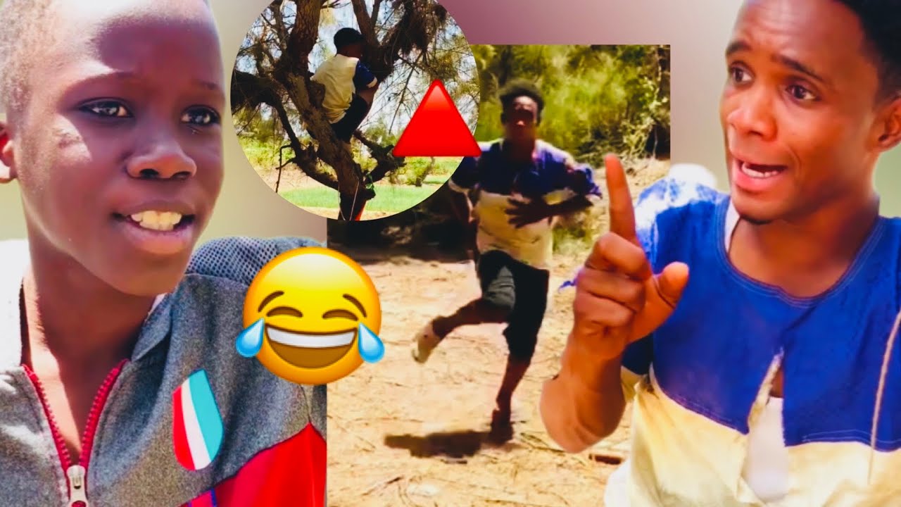 Biir bouy daw - Capo Sarabirana - mdr