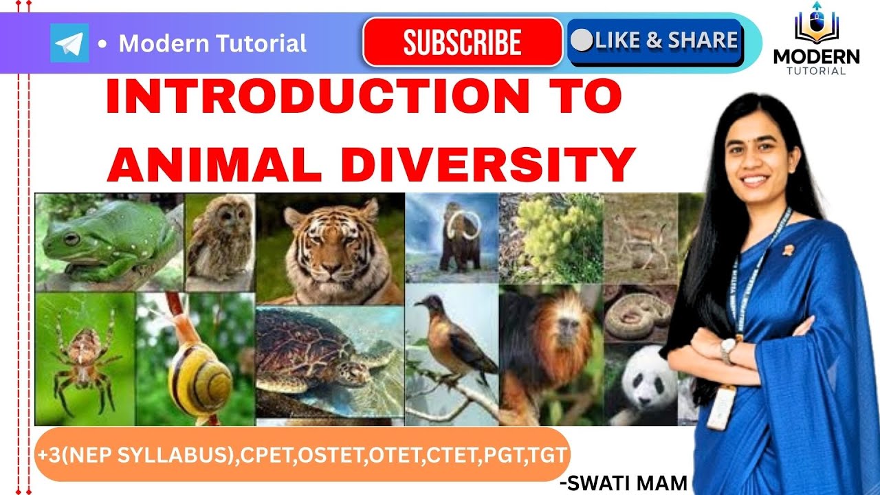 🎯CLASS-1 || INTRODUCTION TO ANIMAL DIVERSITY || ZOOLOGY || MAJOR-1 || PAPER-1 || NONCHORDATA ||