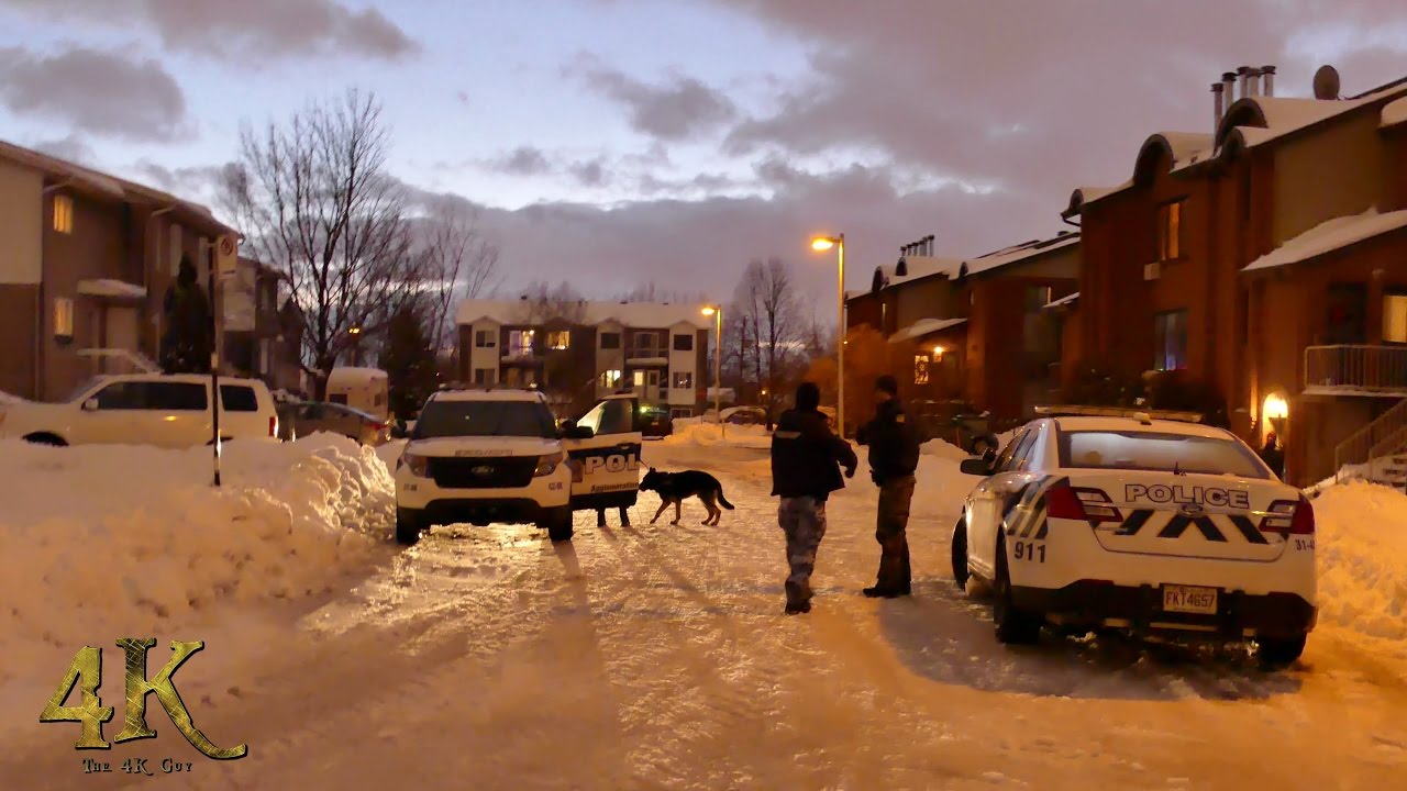 Longueuil: Canine unit responding to home intrusion 1-4-2017