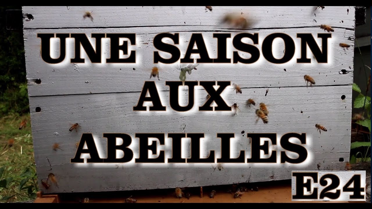 UNE SAISON AUX ABEILLES - E24 - 