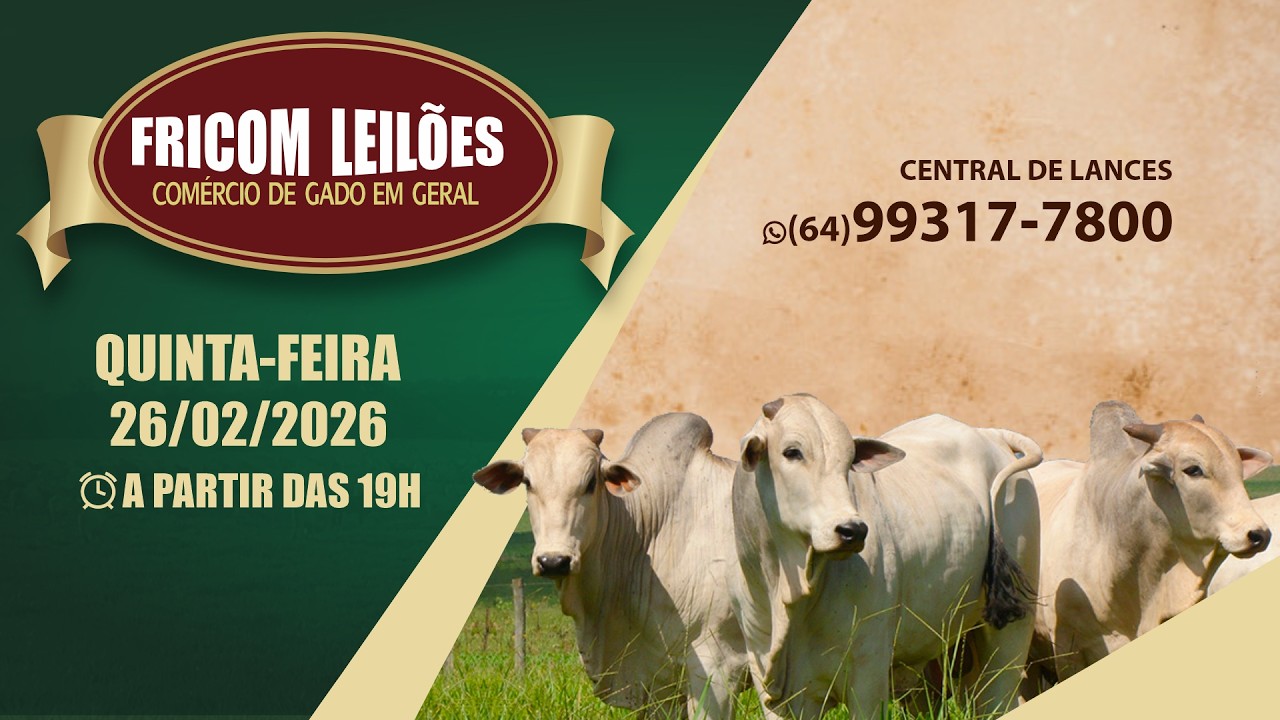 FRICOM LEILÕES 26/02/2026  (HOJE) / AO VIVO - LEILÃO DE GADO DE CORTE - PIRACANJUBA - GO