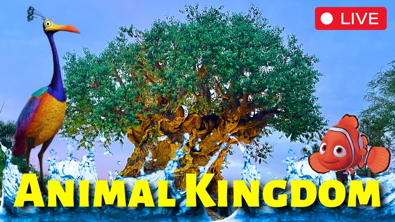 🔴LIVE🔴 Animal Kingdom : Strolls, Rides, Safari  with GUEST STREAMER! | Walt Disney World 4K