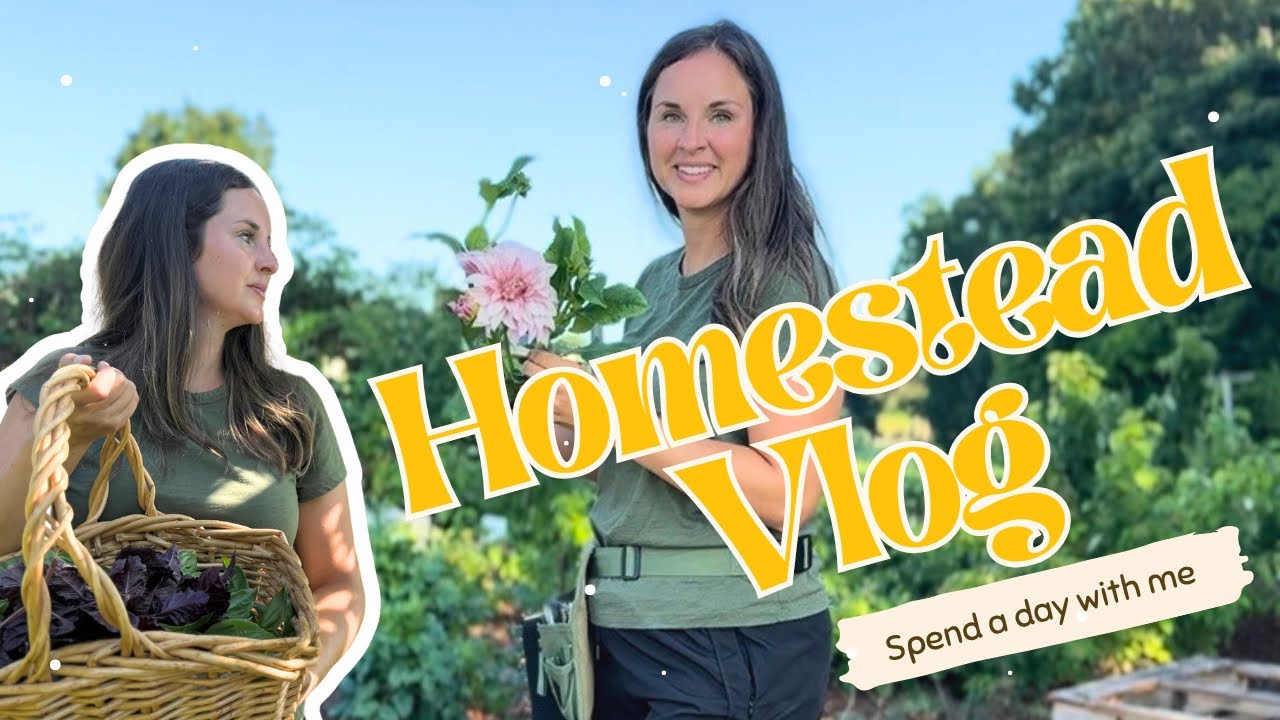 Homestead Vlog: Присоединяйтесь ко мне на день