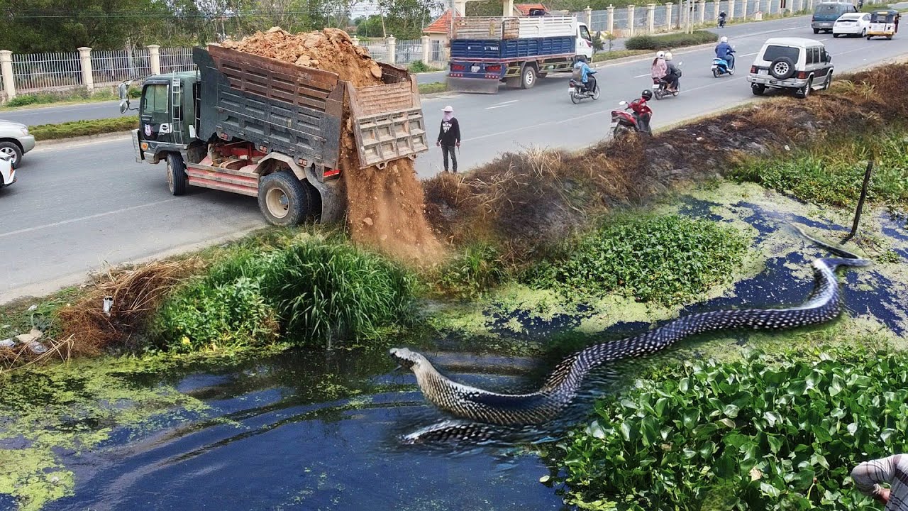 First Start New PROJECT!! LANDFILL Delete Deep CANAL In Flooded Area Use Strong Dozer & 5Ton Truck.