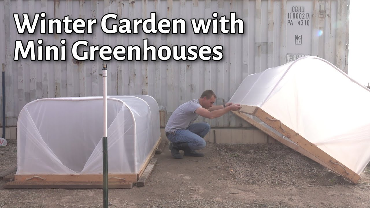 Winter Garden with Mini Greenhouses