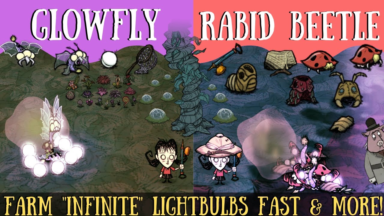 Путеводитель по Гамлету «Don't Starve»: светлячки и бешеные жуки — «БЕСКОНЕЧНЫЕ» фермы лампочек/х...