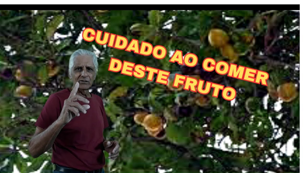 Abiu é bom ou não ter na propriedade?
