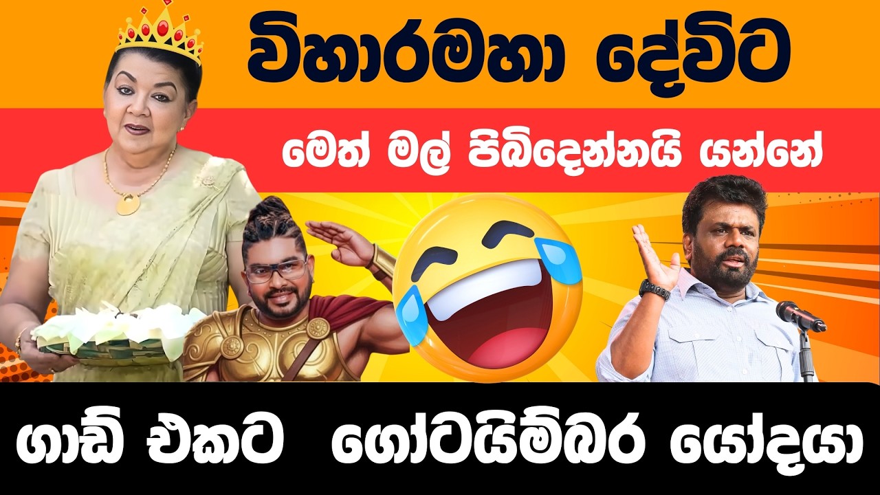 පවුලටම මෙත්මල් පිබිදෙන්නයි යන්නේ  Politics Meme