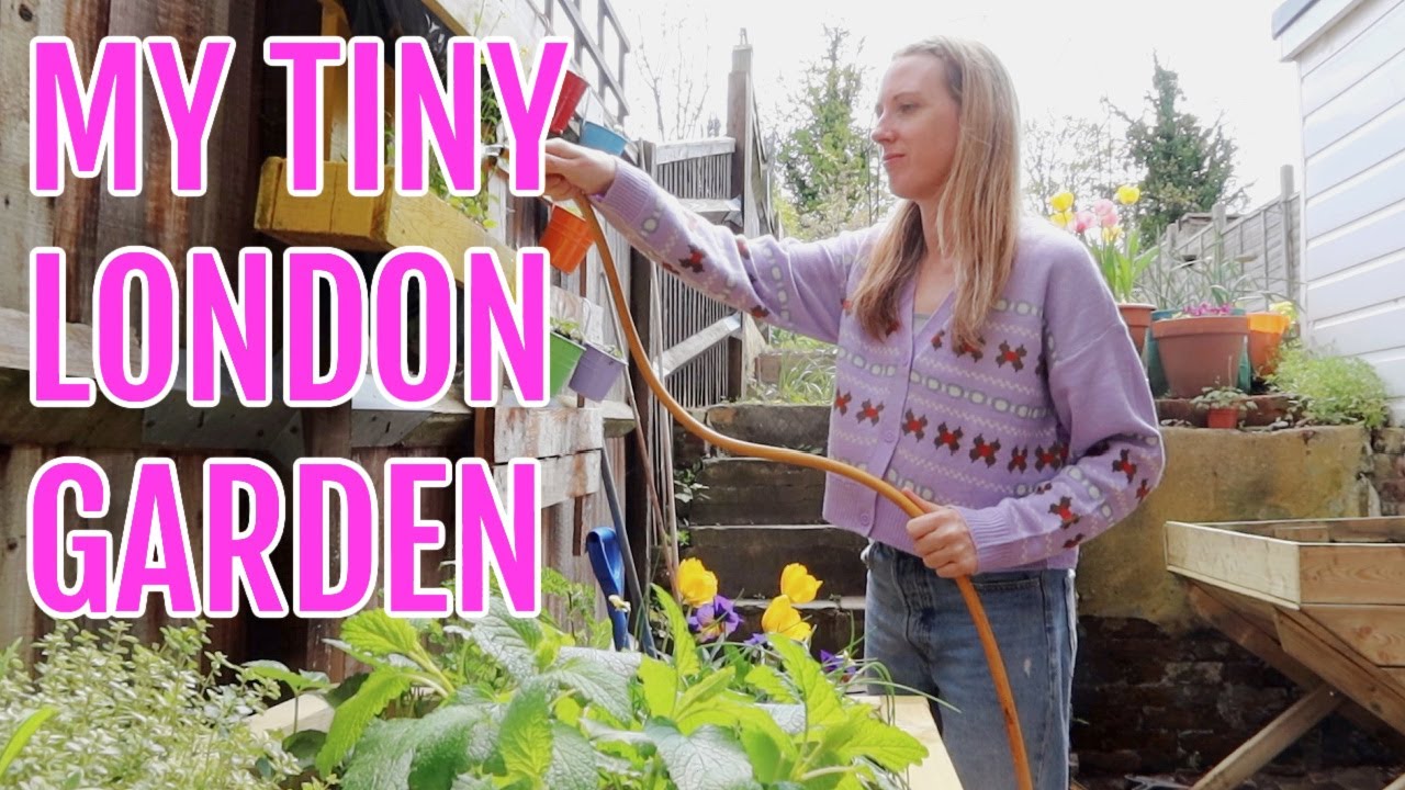 MY TINY LONDON GARDEN / GARDENING FOR BEGINNERS