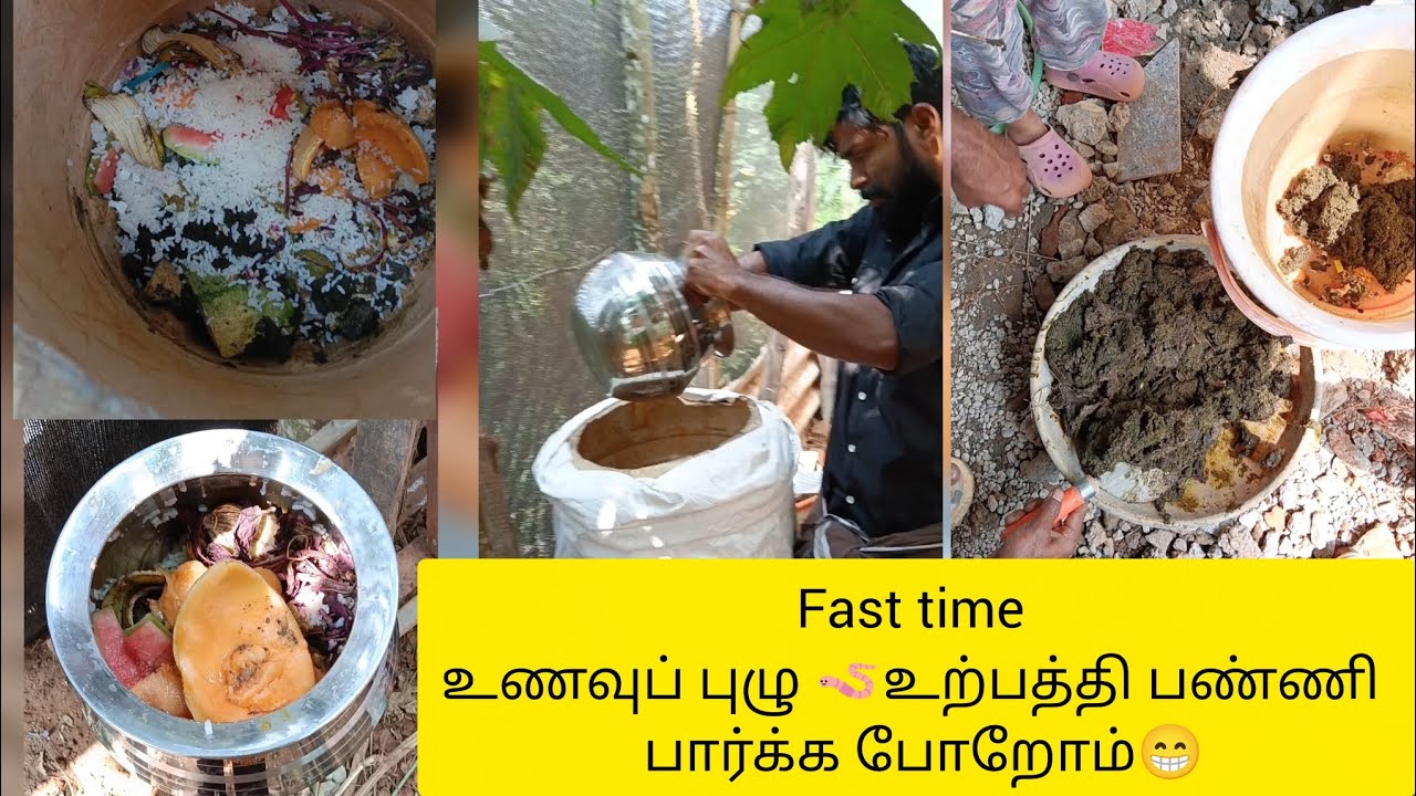 🪱உணவு புழு உற்பத்தி பண்ண போறோம் #how to make mealworms #tamil#srhenhouse#minivlog#kozhi#mealworms🪱