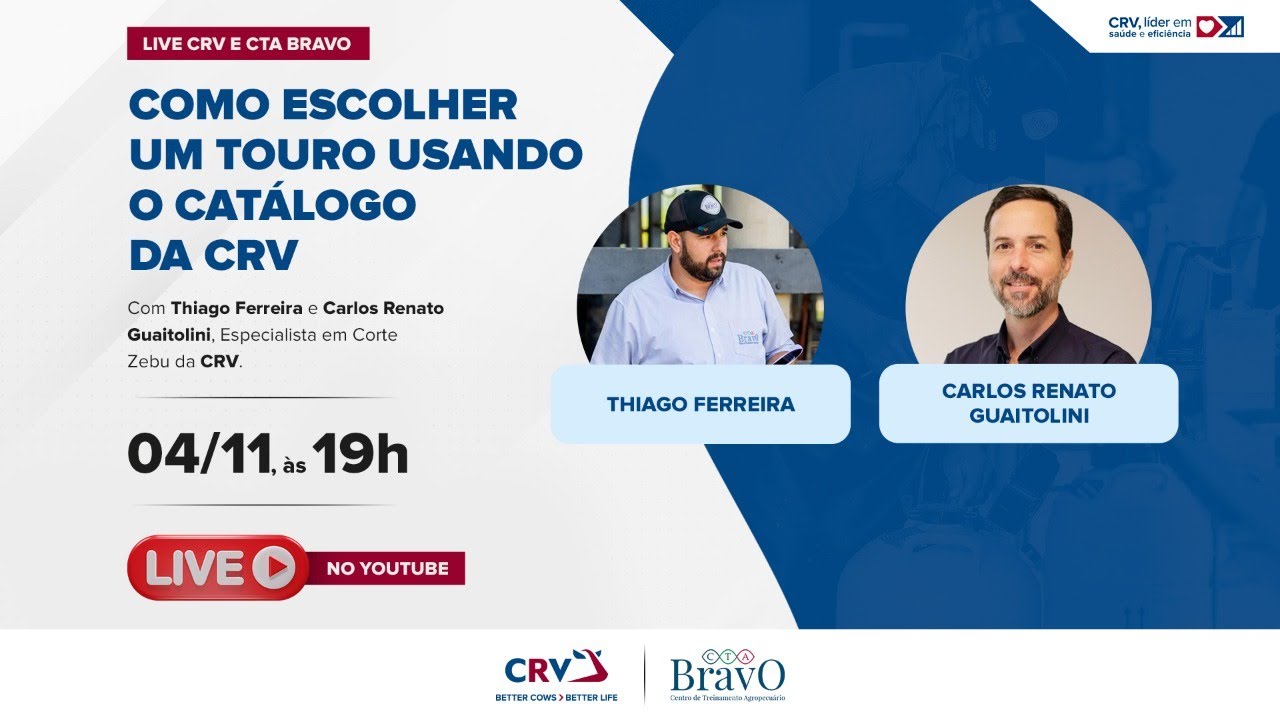 Como escolher um touro usando o catálogo da CRV