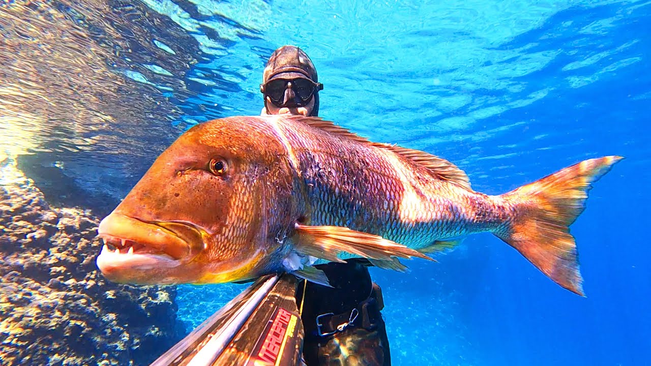 Welcome To Spearfishing 2021.