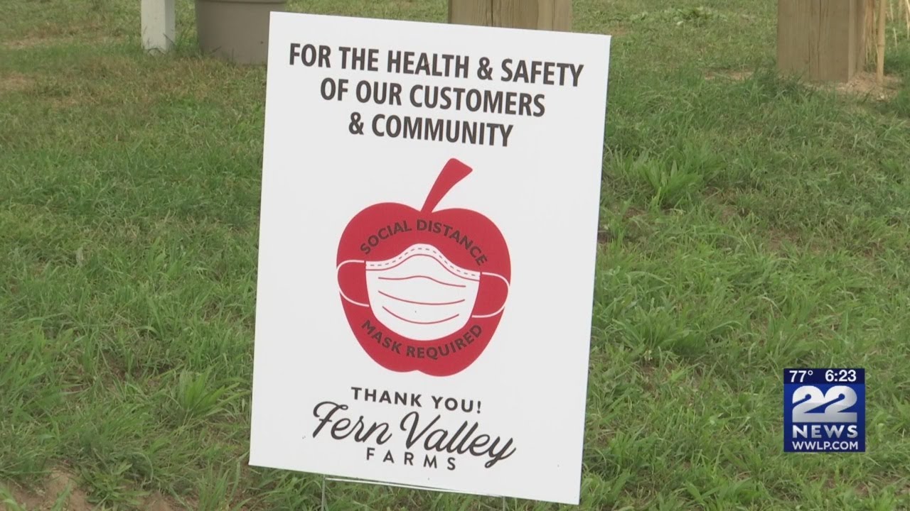 Families enjoy socially distant apple picking at Fern Valley Farms