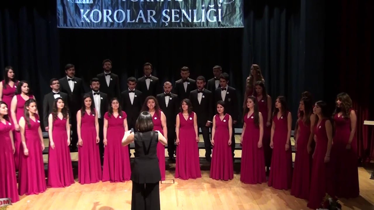 İnönü Üniversitesi Gençlik Korosu-20. Türkiye Korolar Şenliği-Earth Song