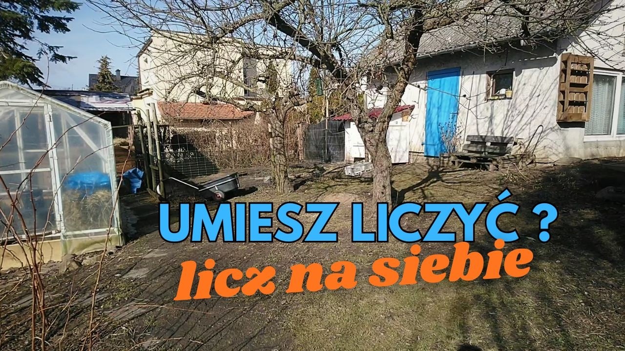 Umiesz liczyć, licz na siebie - czekają nas trudne czasy. Pikuję paprykę I wysiewam kolejne warzywa