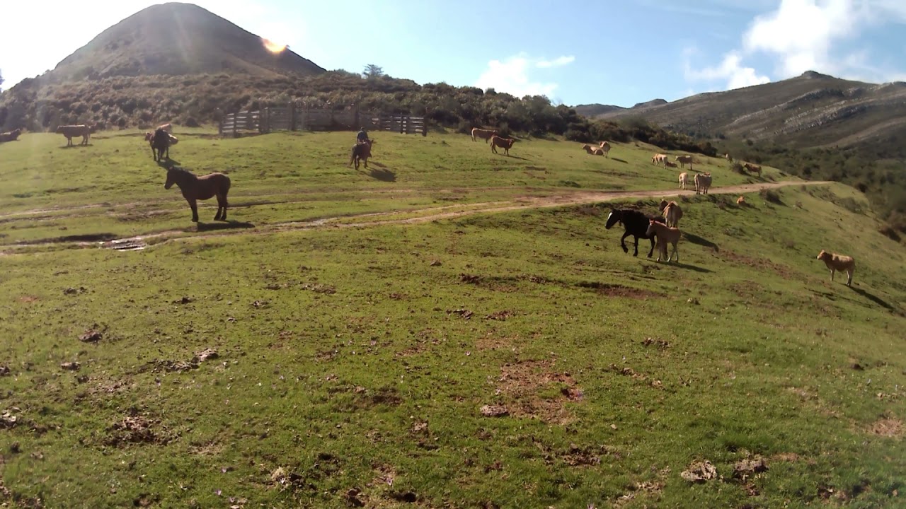Rutas Ecuestres En los pastos del puerto