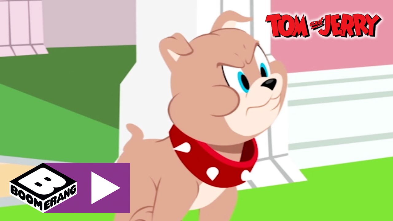 Tom & Jerry | Puppy | Boomerang UK