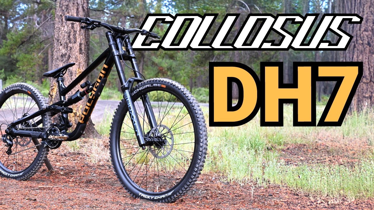 All-New Polygon Collosus DH7 | Race-Ready Downhill MTB Built to Dominate!