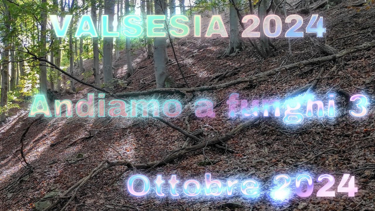 Valsesia 2024 Andiamo a funghi Ottobre 2024