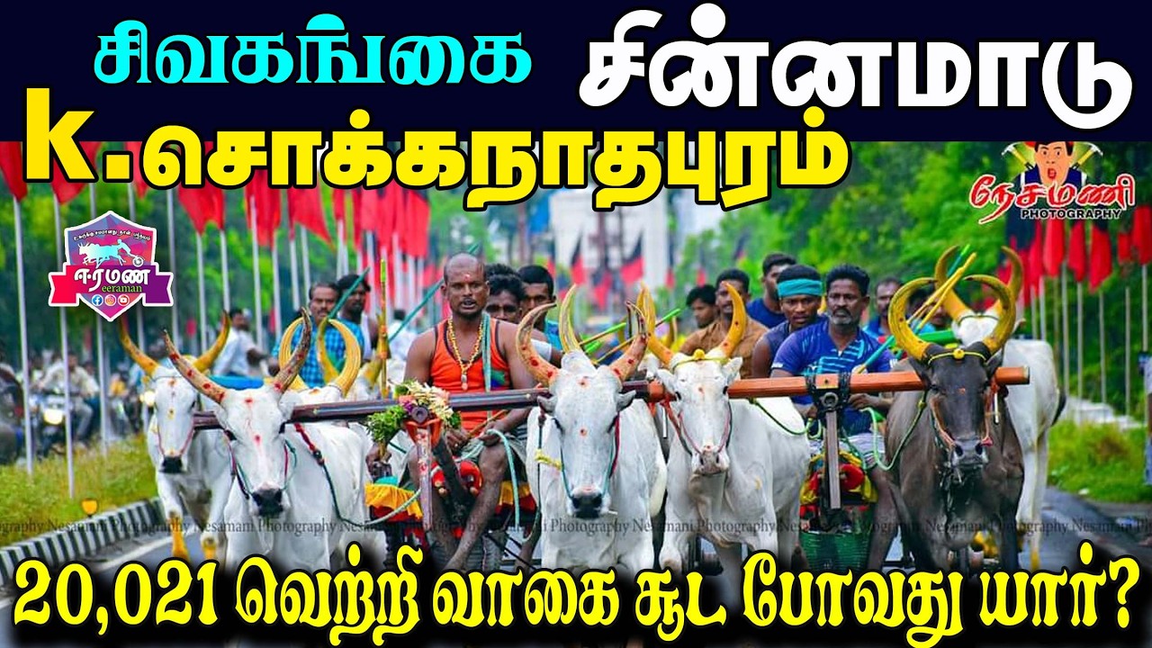 🔴LIVE(நேரலை) | k.சொக்கநாதபுரம்    | சிவகங்கை மாவட்டம் | சின்னமாடு  | பந்தயம்