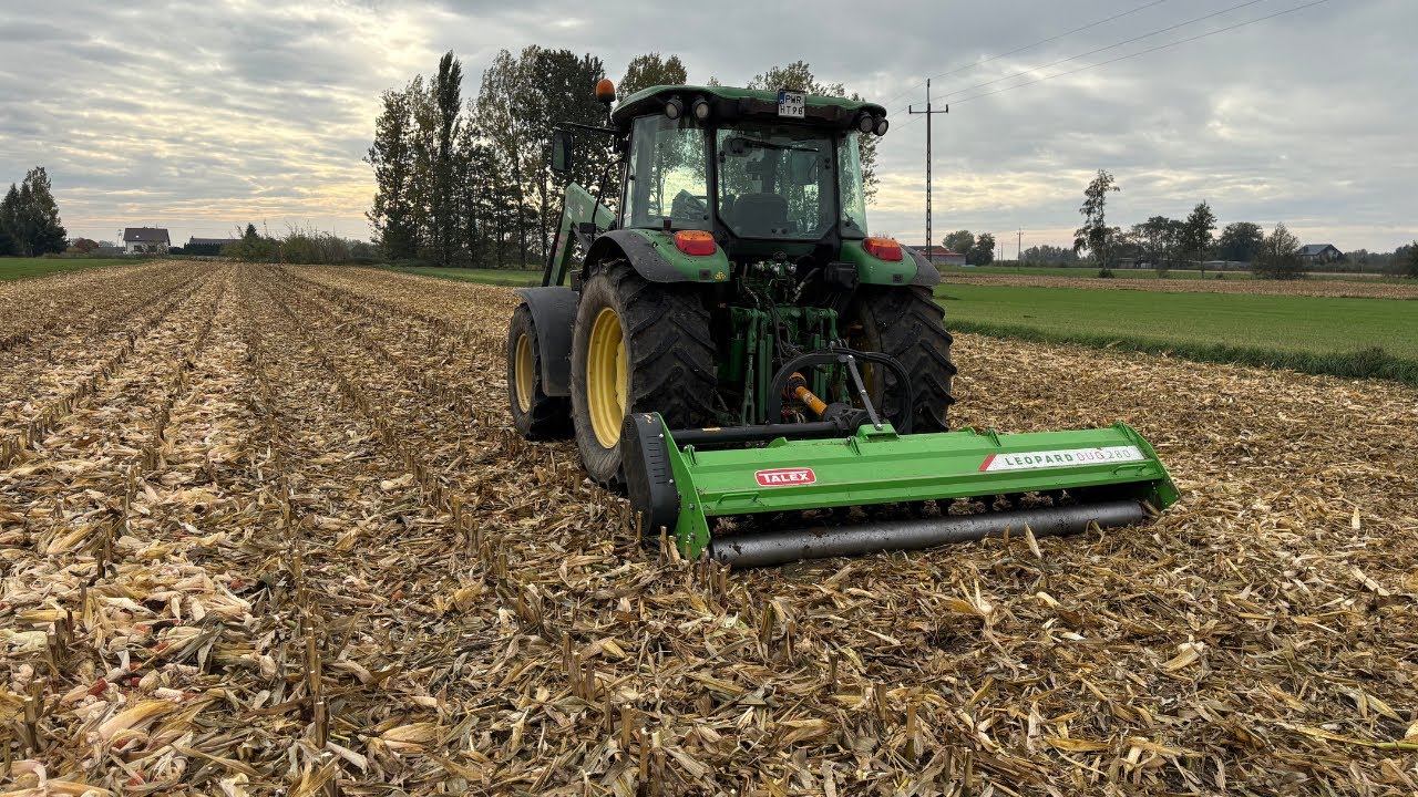 Czy mulczowanie kukurydzy jest potrzebne ? Mulczer Talex Leopard  DUO 280 regulowany hydraulicznie🌽