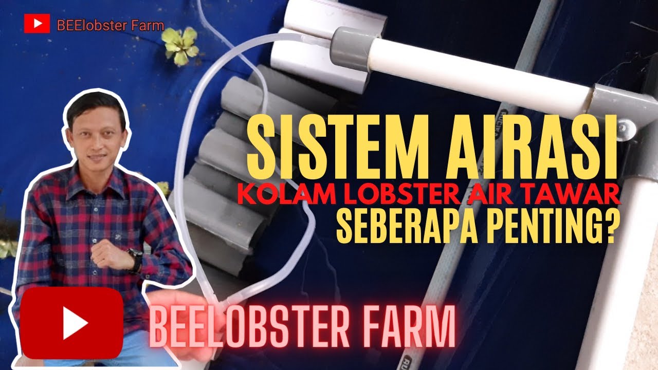 SISTEM AIRASI KOLAM LOBSTER AIR TAWAR