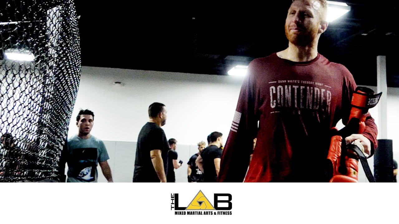 THE MMA LAB - ARIZONA