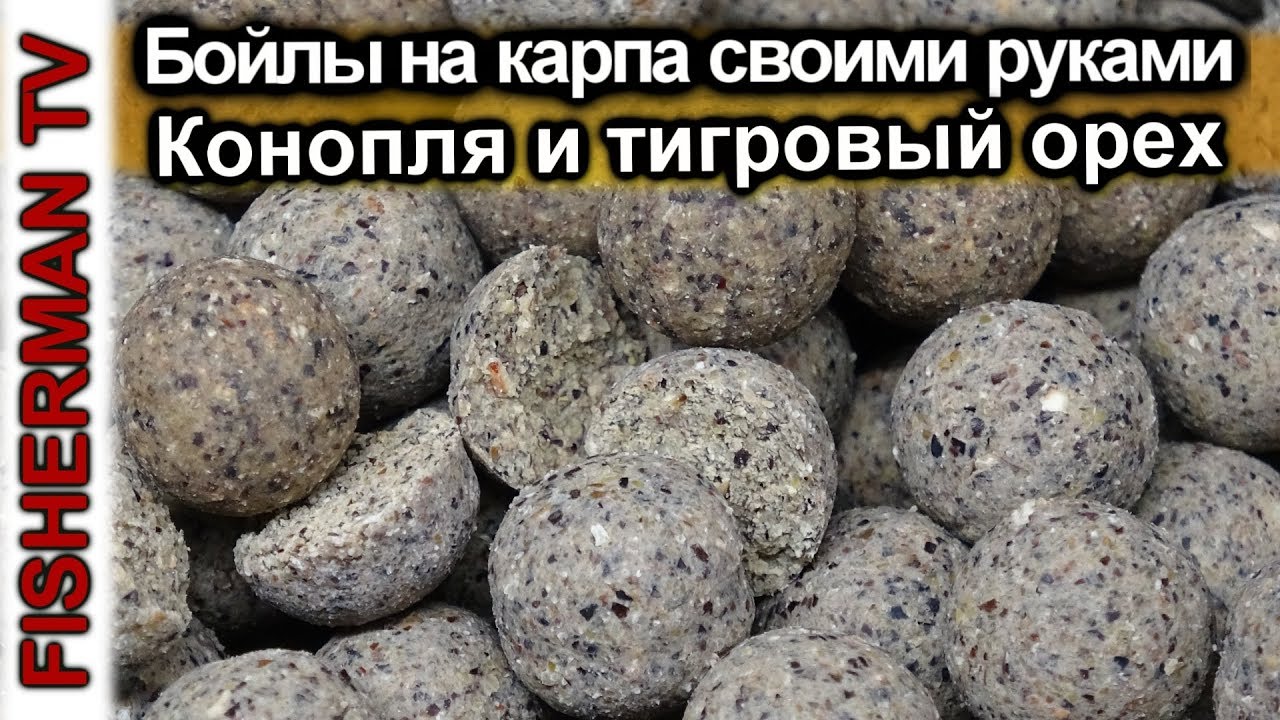 Бойлы на карпа своими руками Тигровый орех, Конопля (Видео 4K)