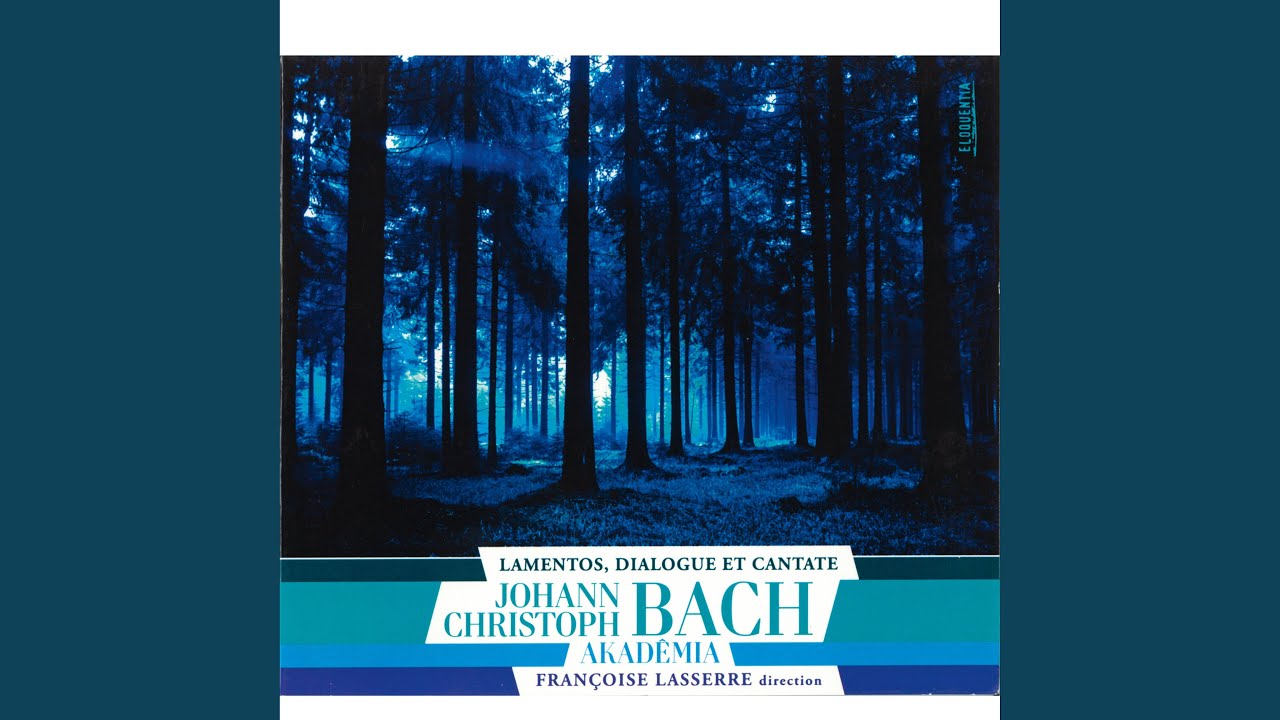 Meine Freundin, du bist schön in G Minor: No. 1, Duo
