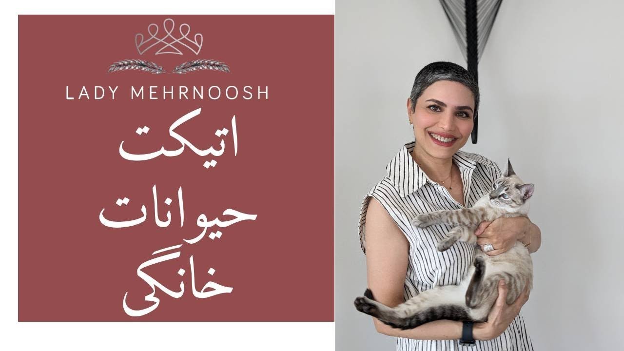اتیکت حیوانات خانگی | قوانین مهمی که باید بدونید