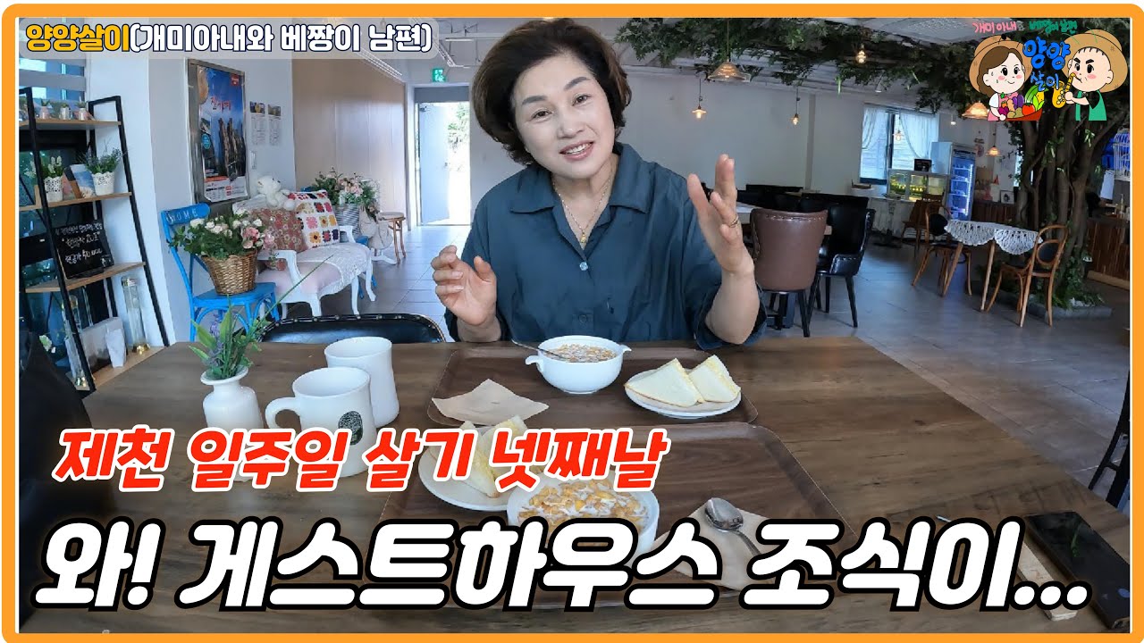 제천에서 일주일살기 넷째날, 숙소 주변에 겔러리도 있고 조식도 맛있고...  #제천여행 #제천일주일살기 #충북여행 #게스트하우스