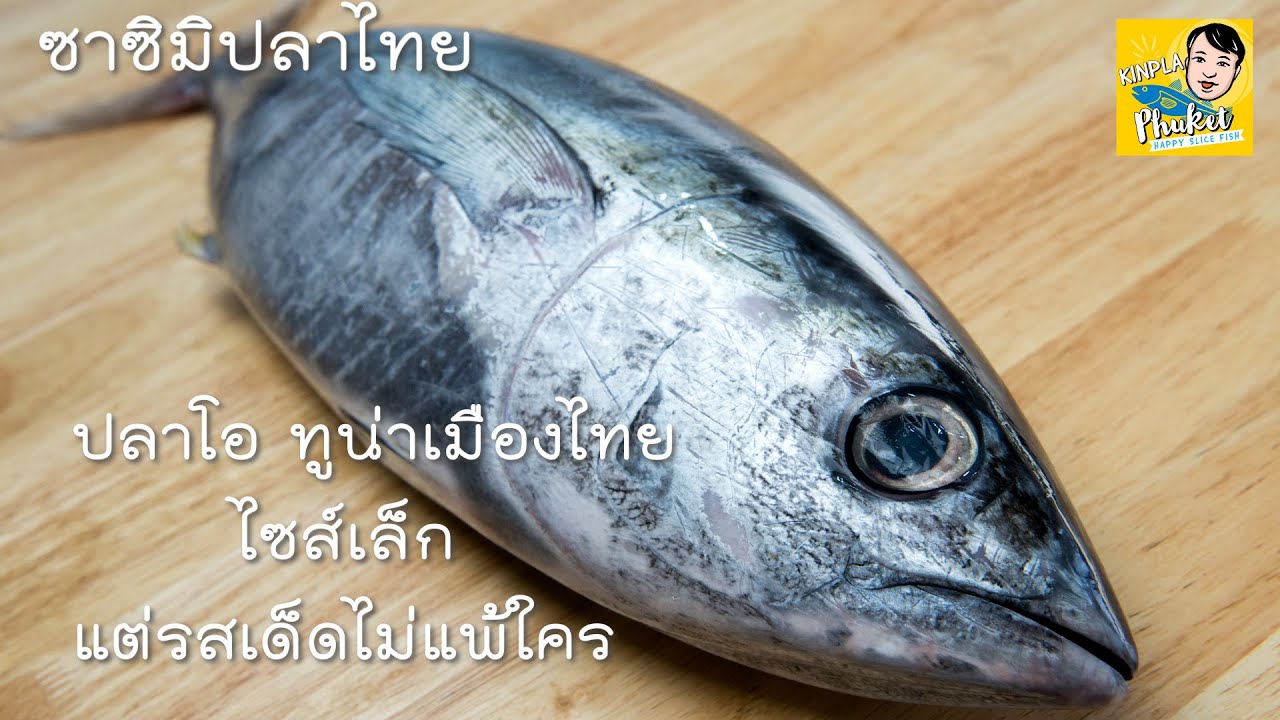 Sashimi Tuna ปลาโอ ทูน่าเมืองไทย ไซส์เล็ก แต่รสเด็ดไม่แพ้ใคร EP21