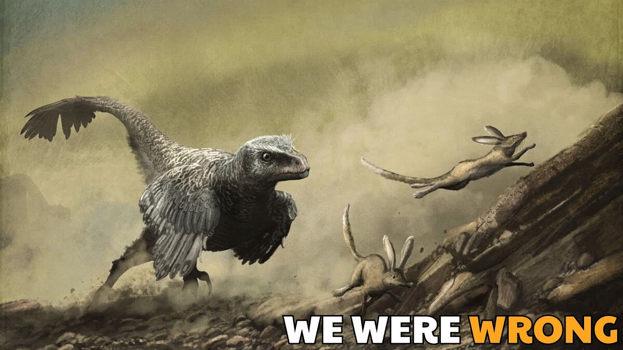 The Velociraptor You Know Doesn&rsquo;t Exist ?