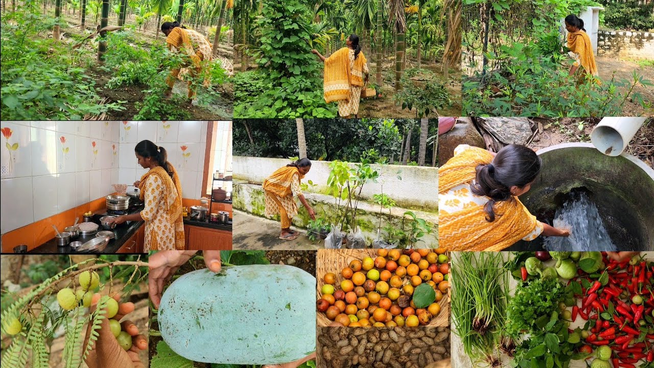 வேறென்ன வேறென்ன வேண்டும்/Colourful veggies harvesting at farm/Healthy breakfast cooking 