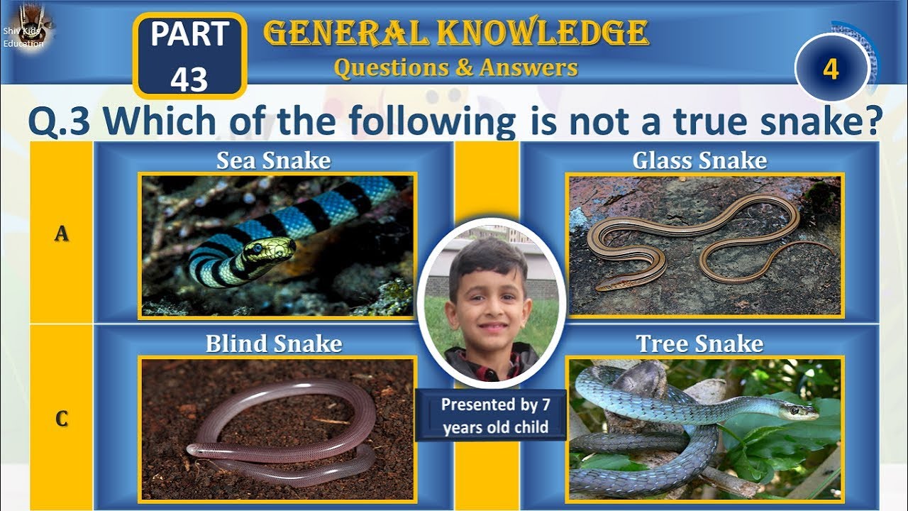 General Knowledge quiz for kids|Gk for children|kids GK|Part-43
