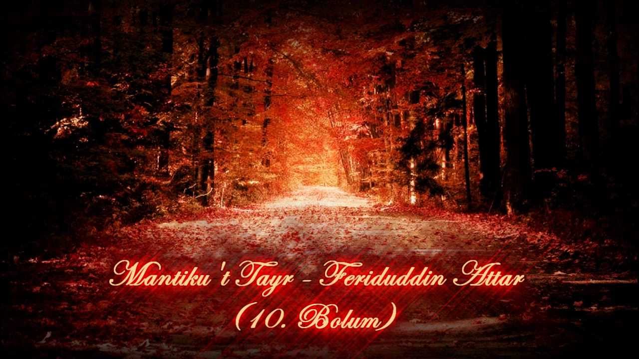 Mantıku't Tayr - Feriduddin Attar (10. Bölüm) فرید الدین عطار , منطق الطیر